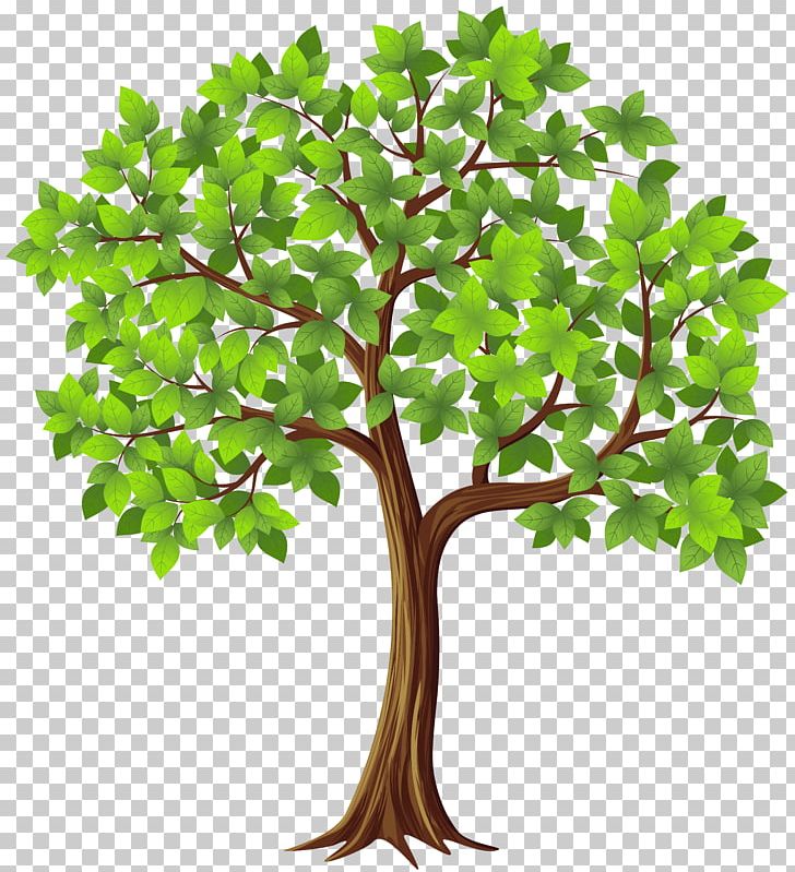 Tree PNG, Clipart, Branch, Color, Download, Flowerpot, Leaf Free PNG Download