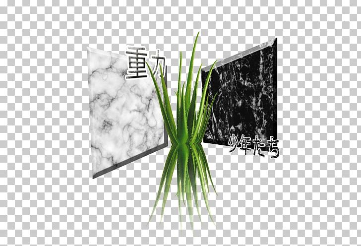 Art Canvas Marble Printmaking Allium Fistulosum PNG, Clipart, Allium, Allium Fistulosum, Art, Canvas, Family Free PNG Download