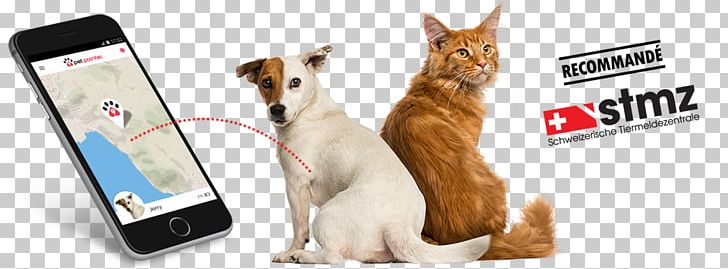 Cat Dog Pet Microchip Implant GPS Tracking Unit PNG, Clipart, Animal Behavior Consultant, Carnivoran, Cat Like Mammal, Creative Pet Dog, Dog Free PNG Download