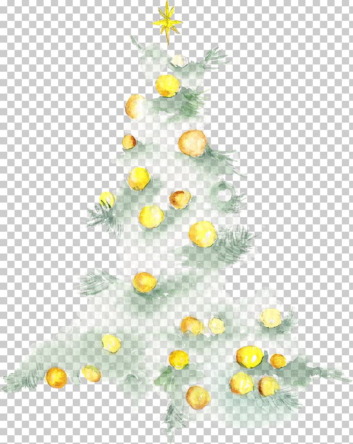 Christmas Tree Illustration PNG, Clipart, Branch, Christmas Decoration, Christmas Elements, Christmas Frame, Christmas Lights Free PNG Download