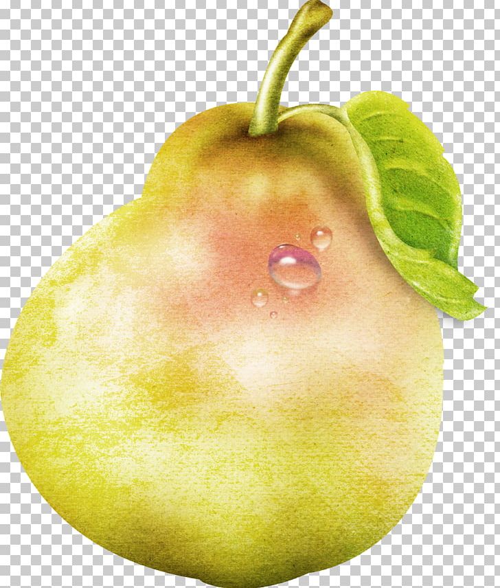 Pear Cartoon Photography PNG, Clipart, Adobe Illustrator, Apple, Apple Pears, Canary Melon, Cartoon Free PNG Download