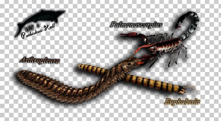 Reptile Product Invertebrate PNG, Clipart, Invertebrate, Others, Pterosaurus, Reptile Free PNG Download