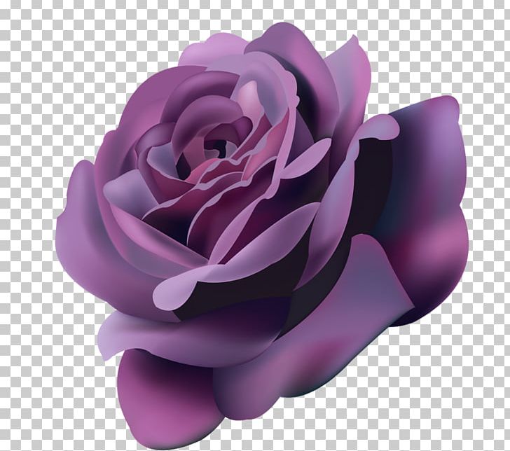 Rose Flower Purple Violet PNG, Clipart, Color, Computer Icons, Cut Flowers, Desktop Wallpaper, Flower Free PNG Download