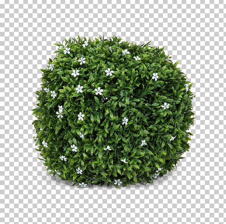 3D Computer Graphics 3D Modeling Shrub TurboSquid PNG, Clipart, 3d Computer Graphics, 3d Modeling, 3ds, Animation, Autodesk 3ds Max Free PNG Download