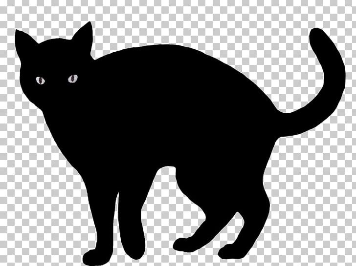 Black Cat Kitten PNG, Clipart, Black, Black And White, Black Cat, Carnivoran, Cat Free PNG Download