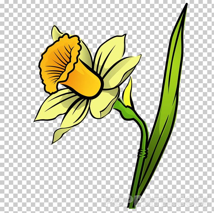 Daffodil Drawing Floral Design PNG, Clipart, Amaryllis Family, Artwork, Black And White, Cartoon, Cut Flowers Free PNG Download