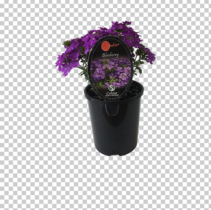 Purple Plant PNG, Clipart, Art, Blueberry Bush, Flowerpot, Magenta, Plant Free PNG Download