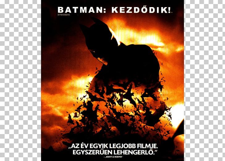 Blu-ray Disc Batman Ultra HD Blu-ray DVD The Dark Knight Trilogy PNG, Clipart, 4k Resolution, Action Film, Batman, Batman Begins, Batman Robin Free PNG Download