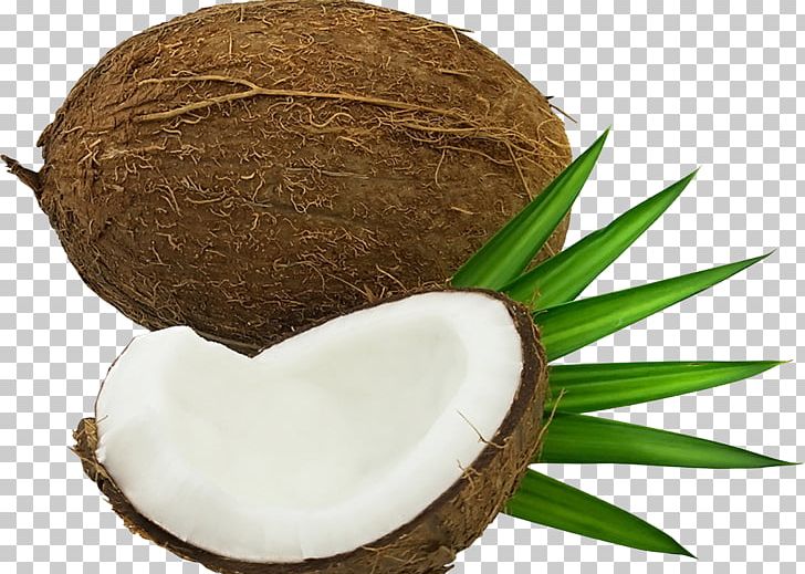 Coconut Water PNG, Clipart, Archive File, Coconut, Coconut Tree, Coconut Water, Computer Icons Free PNG Download