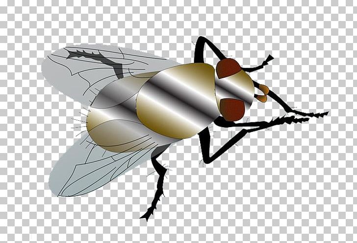 Fly Mosquito PNG, Clipart, Animal, Animals, Arthropod, Artworks, Birds Free PNG Download