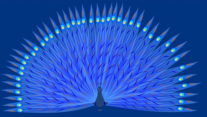 Hand Fan Paper Light Wedding Gift PNG, Clipart, Animals, Blue, Cobalt Blue, Computer Wallpaper, Desktop Wallpaper Free PNG Download