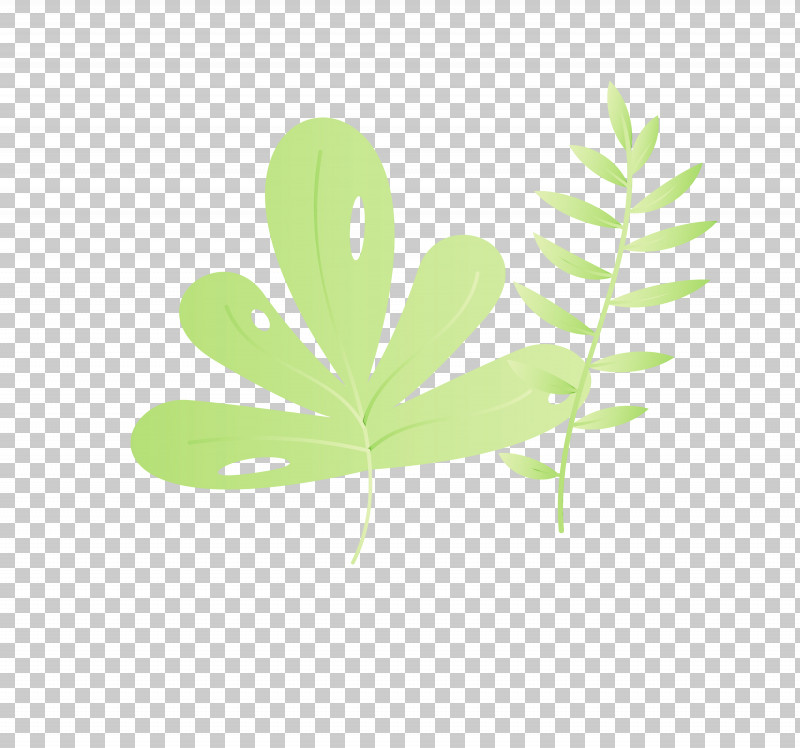Leaf Plant Stem Green Font Meter PNG, Clipart, Biology, Green, Leaf, Leaf Abstract, Leaf Cartoon Free PNG Download