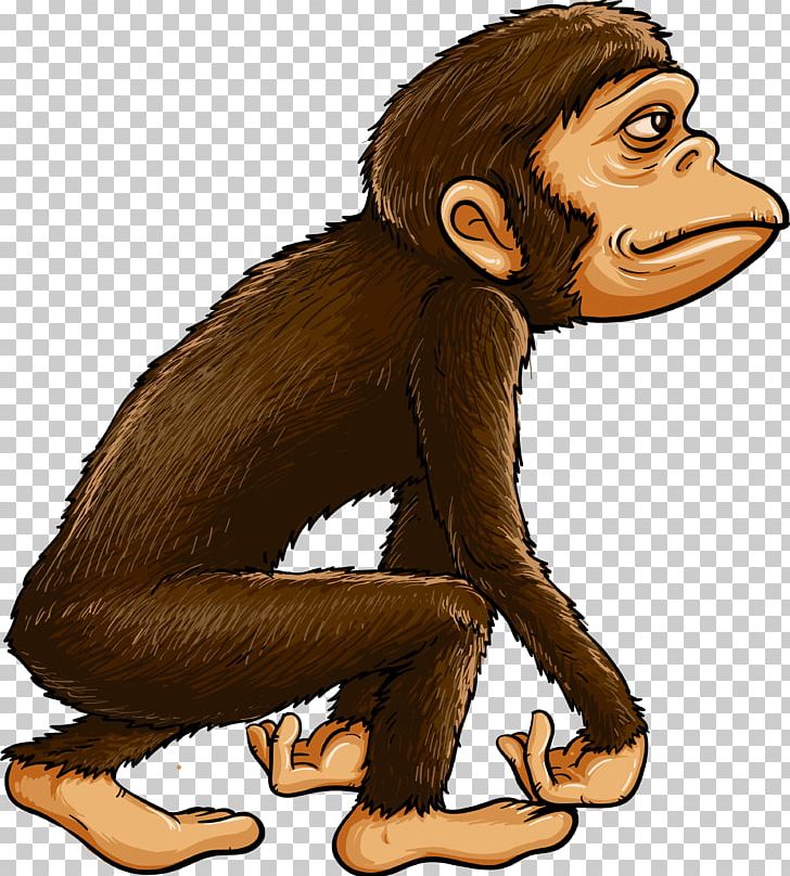 Chimpanzee Ape Primate Monkey PNG, Clipart, Animals, Ape, Carnivoran, Cartoon, Chimpanzee Free PNG Download