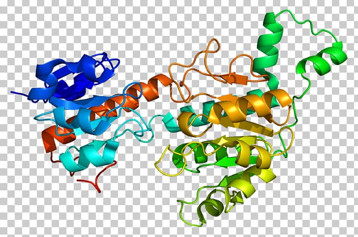 CTBP1 FOXP2 Protein Structure Gene PNG, Clipart, Art, Artwork, Crystal Structure, Cterminus, Enzyme Inhibitor Free PNG Download