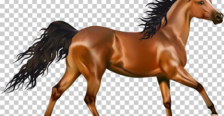 Arabian Horse Pony Andalusian Horse American Paint Horse PNG, Clipart, American Paint Horse, American Quarter Horse, Andalusian Horse, Animal Figure, Arabian Horse Free PNG Download