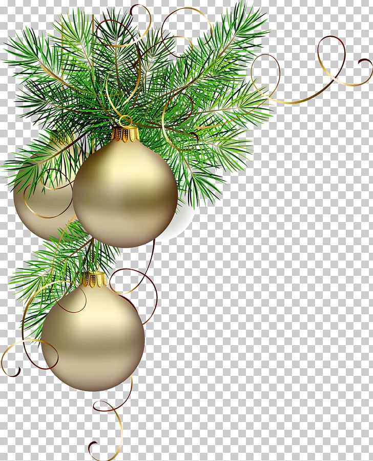 Christmas Digital PNG, Clipart, Branch, Christmas, Christmas Decoration, Christmas Ornament, Conifer Free PNG Download