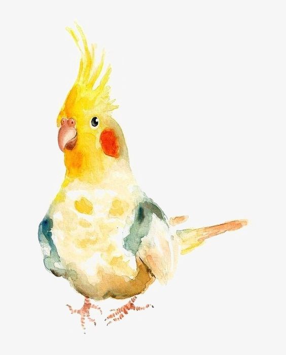 Parrot PNG, Clipart, Animal, Lovely, Parrot, Parrot Clipart, Watercolor Free PNG Download