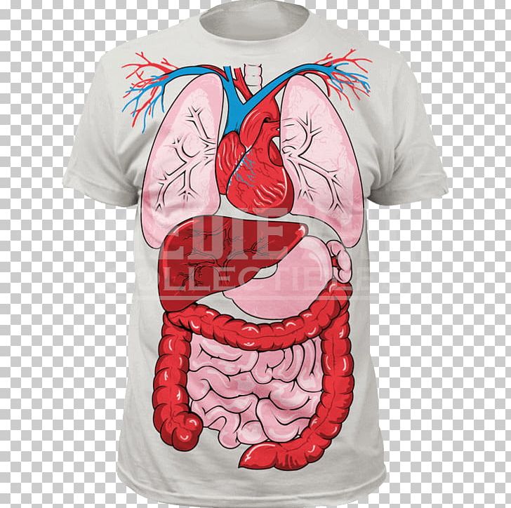 T-shirt Human Anatomy Human Body PNG, Clipart, Anatomy, Clothing, Costume, Homo Sapiens, Human Anatomy Free PNG Download