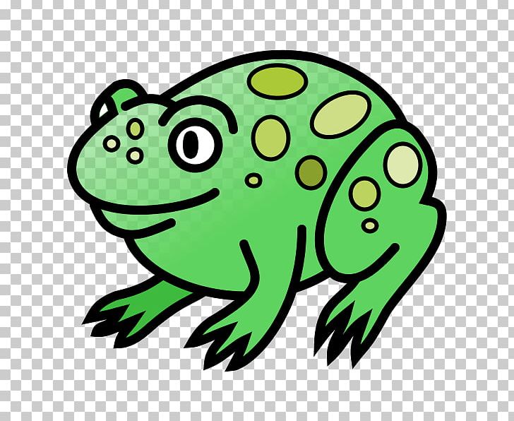 True Frog Edible Frog Tree Frog PNG, Clipart, Amphibian, Animal, Animals, Artwork, Biology Free PNG Download