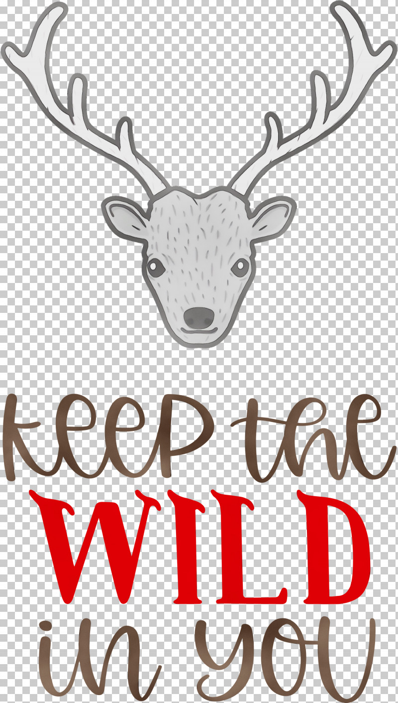 Reindeer PNG, Clipart, Antler, Biology, Deer, Keep Wild, Meter Free PNG Download