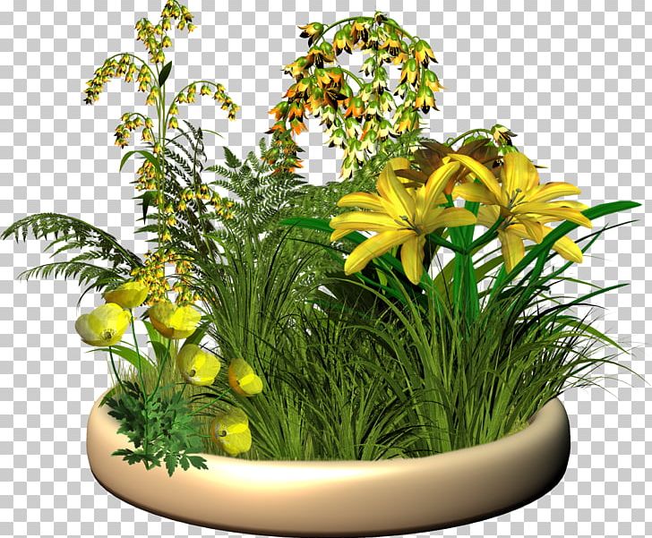 Flower PNG, Clipart, Aquarium Decor, Aquatic Plant, Computer Icons, Cut Flowers, Floral Design Free PNG Download