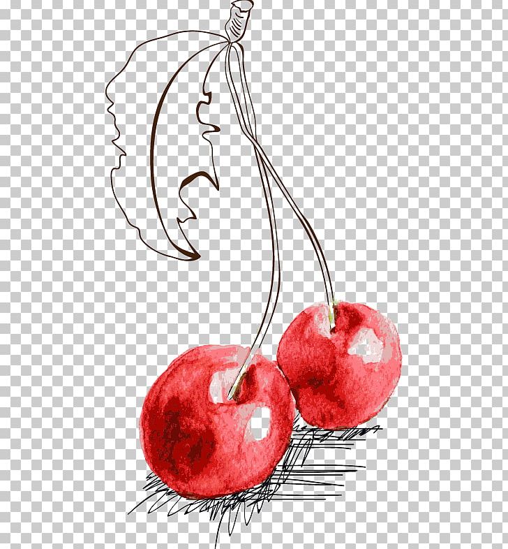 Fruit Cherry Illustration PNG, Clipart, Berry, Blueberry, Cherry Blossom, Cherry Blossoms, Drawing Free PNG Download