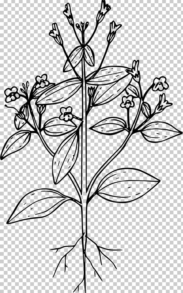 Line Art Drawing Computer Icons PNG, Clipart, Botanical Illustration, Branch, Computer Icons, Cross, Drawing Free PNG Download