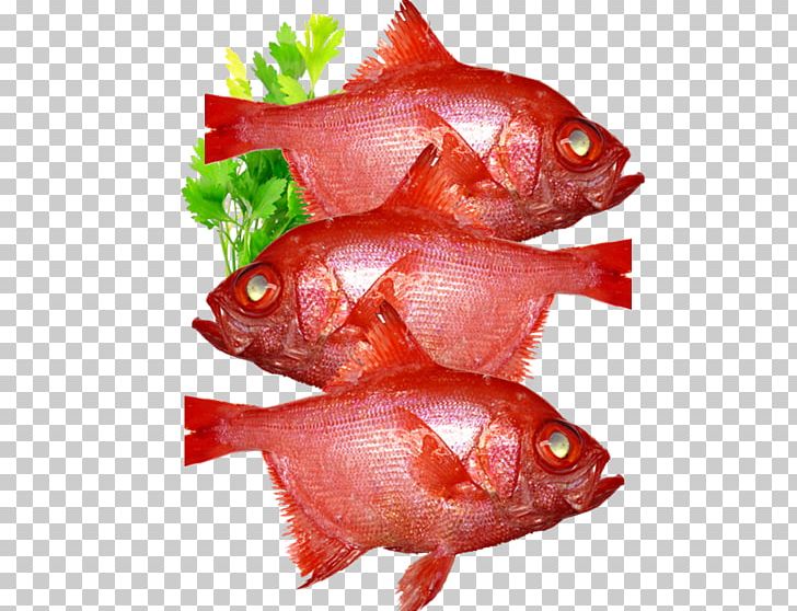 Northern Red Snapper Fish Products Pagrus Major PNG, Clipart, Animal, Animal Source Foods, Cod, Fish, Fish Products Free PNG Download