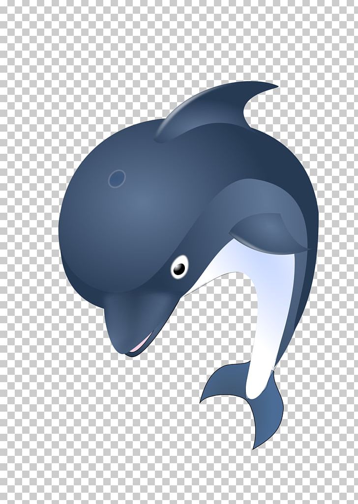 Porpoise Dolphin PNG, Clipart, Animals, Beak, Bottlenose Dolphin, Cetacea, Common Bottlenose Dolphin Free PNG Download