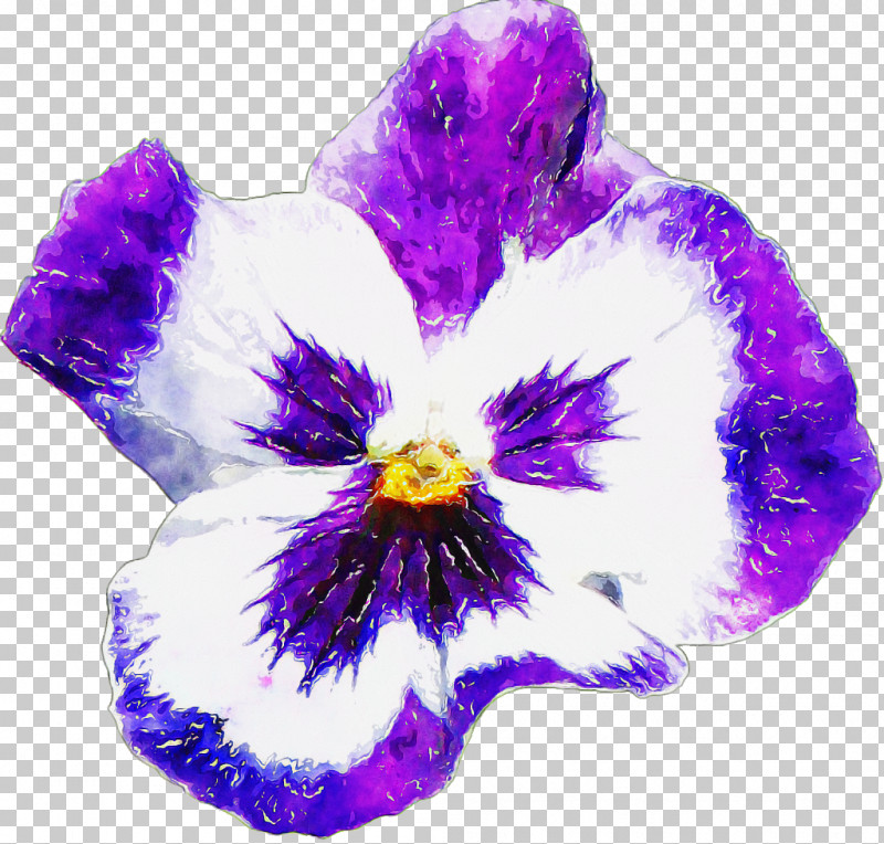 Pansy Flower Lilac Ornamental Plant Orchids PNG, Clipart, Cartoon, Flower, Lilac, Orchids, Ornamental Plant Free PNG Download