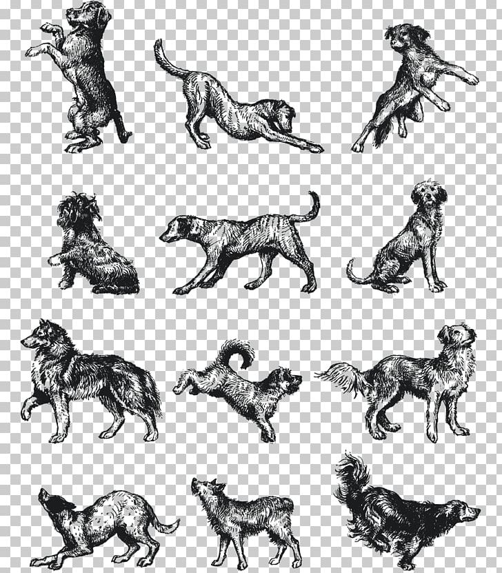 Dog Breed Cat Rescue Dog PNG, Clipart, Animal, Animal Figure, Animals, Art, Black And White Free PNG Download
