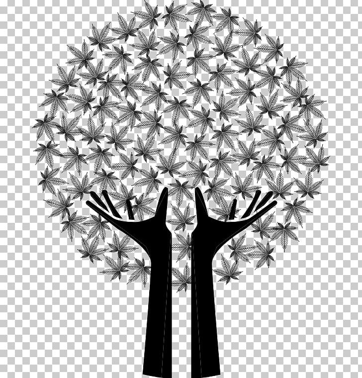 Drawing PNG, Clipart, Black And White, Cannabis, Canvas Element, Drawing, Drug Free PNG Download