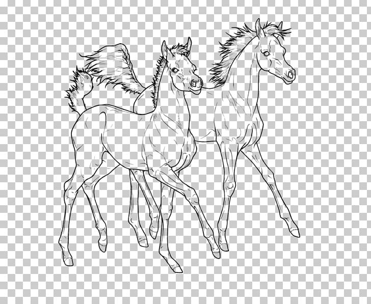 Foal Line Art Colt Arabian Horse Pony PNG, Clipart, Arabian Horse, Artwork, Ausmalbild, Black And White, Bridle Free PNG Download