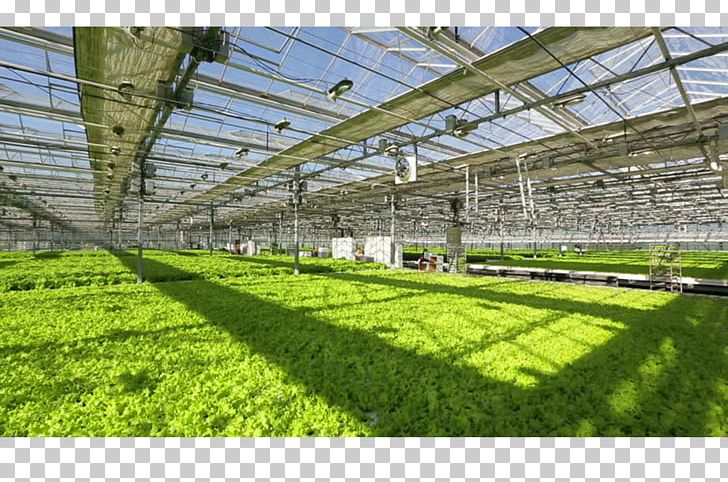 Greenhouse Daylighting Building Roof Industry PNG, Clipart, Background, Bed, Building, Camera, Com Free PNG Download