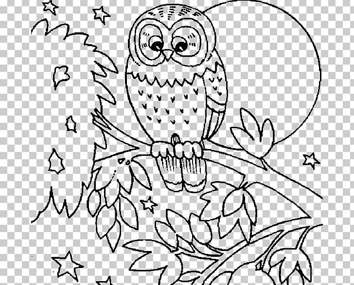 Snowy Owl Coloring Book PNG, Clipart, Adult, Animals, Area, Art, Barn Owl Free PNG Download