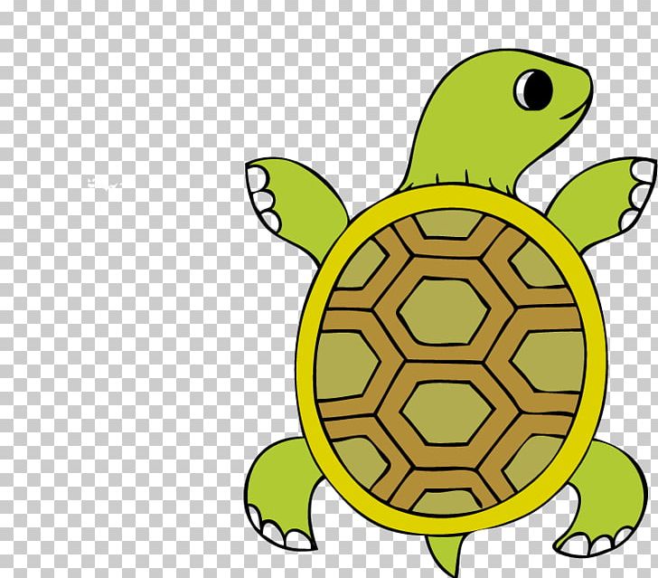 Tortoise PNG, Clipart, Artwork, Clip Art, Fauna, Organism, Reptile Free PNG Download