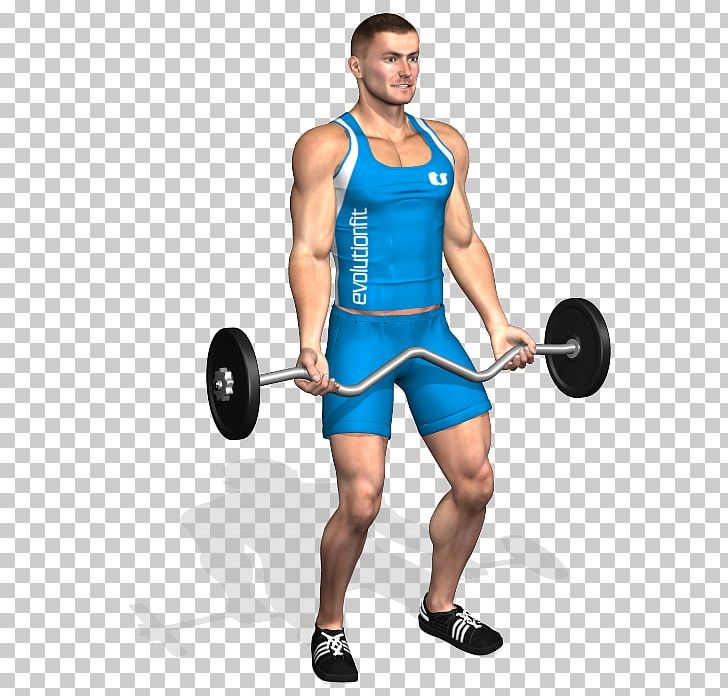 Weight Training Barbell Biceps Curl Dumbbell Squat PNG, Clipart, Abdomen, Arm, Bodybuilder, Boxing Glove, Exercise Free PNG Download