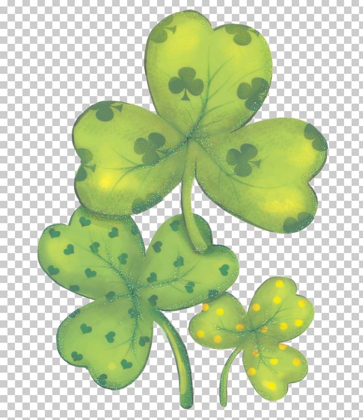 Saint Patrick's Day Shamrock Flower Symbol PNG, Clipart, Canvas, Flower, Flowering Plant, Holidays, Leaf Free PNG Download