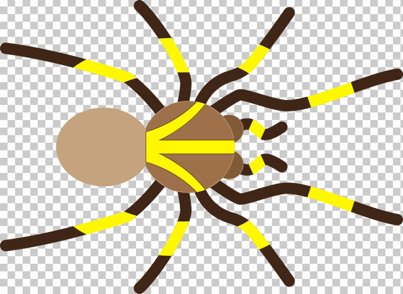 Insect Yellow Line PNG, Clipart, Cartoon Spider, Insect, Line, Paint, Watercolor Free PNG Download