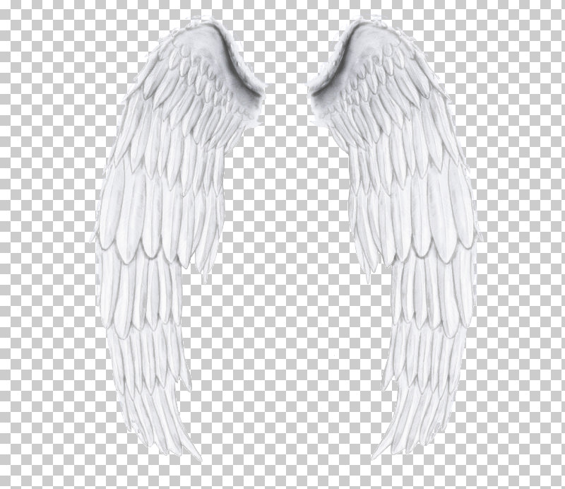 Feather PNG, Clipart, Angel, Earrings, Feather, Wing Free PNG Download