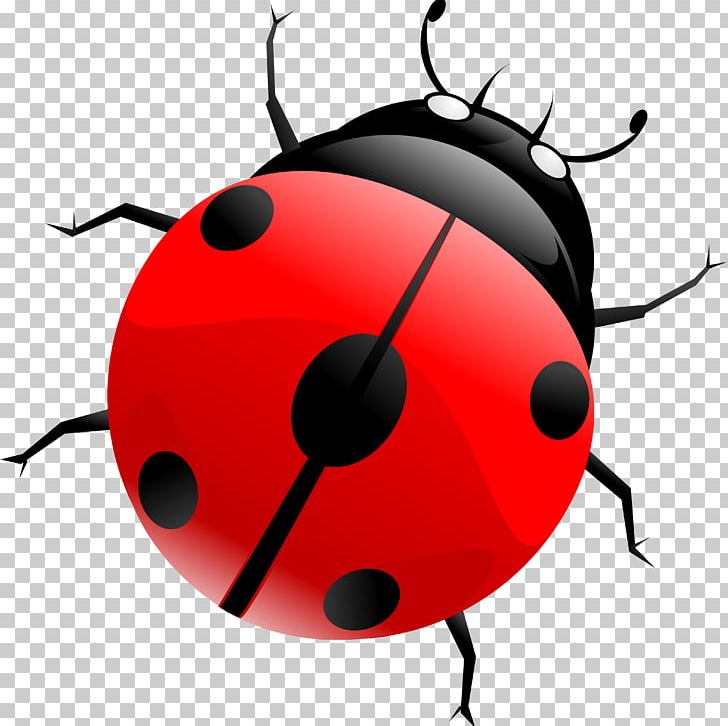 Beetle Blog PNG, Clipart, Arthropod, Artwork, Beetle, Blog, Cartoon Free PNG Download