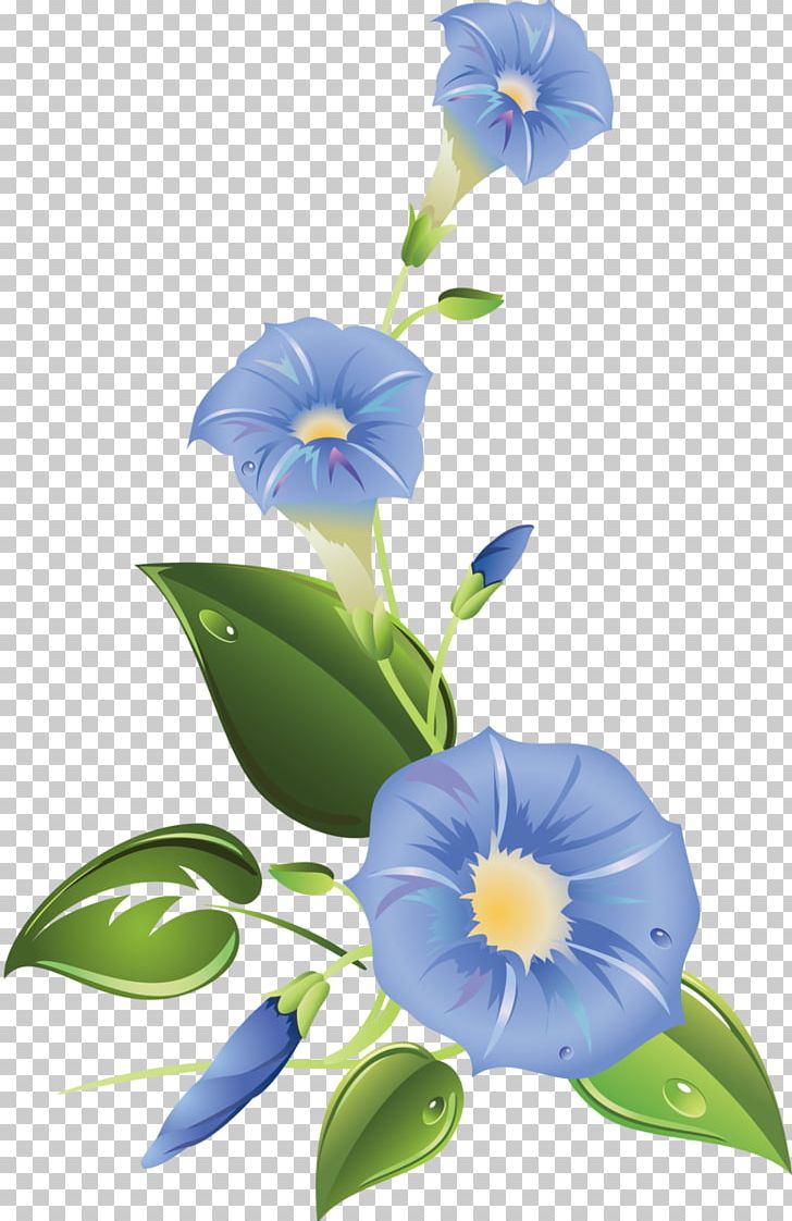 Ipomoea Purpurea Morning Glory Flower PNG, Clipart, Bellflower Family, Blue, Branch, Cut Flowers, Drawing Free PNG Download