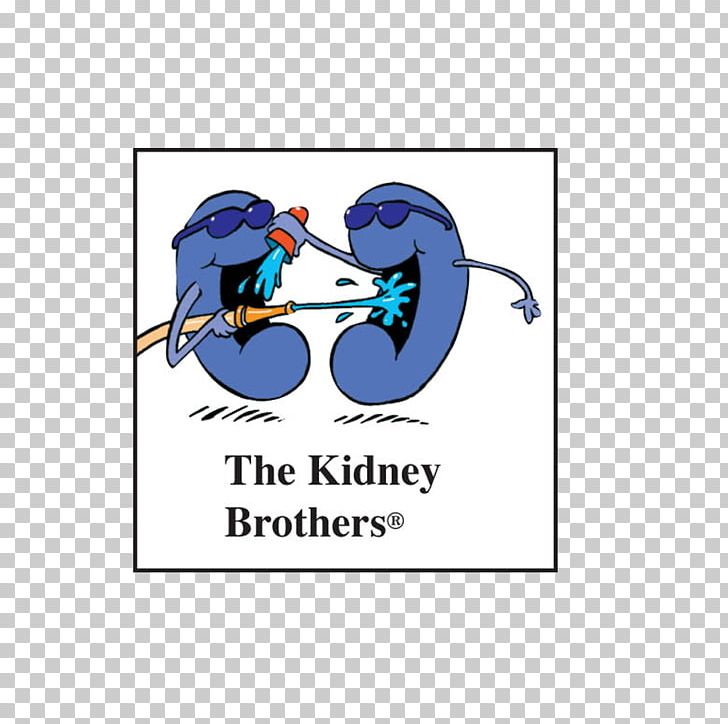 Kidney Drinking Water Drinking Water Body Water PNG, Clipart, Area, Blood, Body Water, Brand, Cartoon Free PNG Download