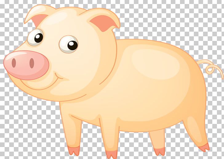 Pig PNG, Clipart, Animal, Animals, Domestic Pig, Download, Drawing Free PNG Download