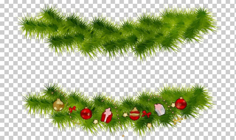 Christmas Tree PNG, Clipart, American Larch, Christmas Decoration, Christmas Tree, Fir, Grass Free PNG Download
