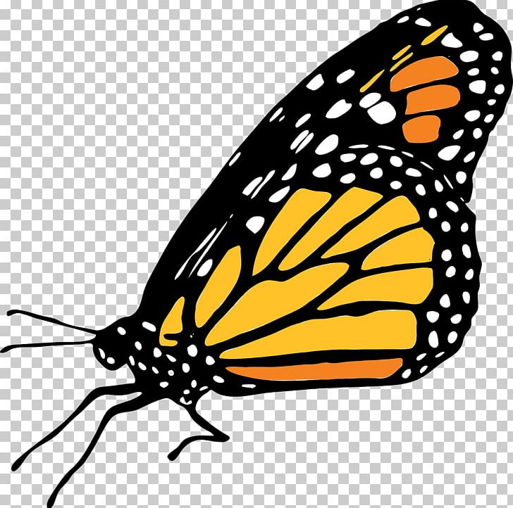 Monarch Butterfly PNG, Clipart, Arthropod, Artwork, Brush Footed Butterfly, Butterflies And Moths, Butterfly Free PNG Download