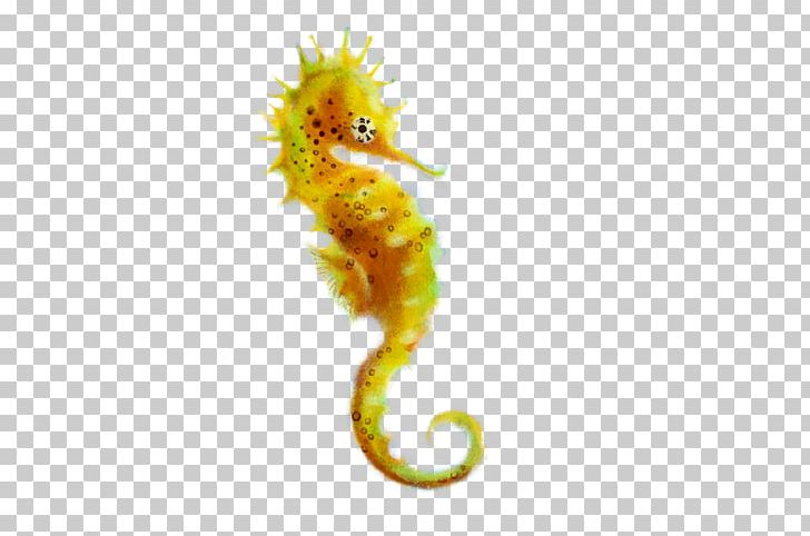 Seahorse PNG, Clipart, Albino, Animal Birds, Animals, Catlovers, Cli Free PNG Download