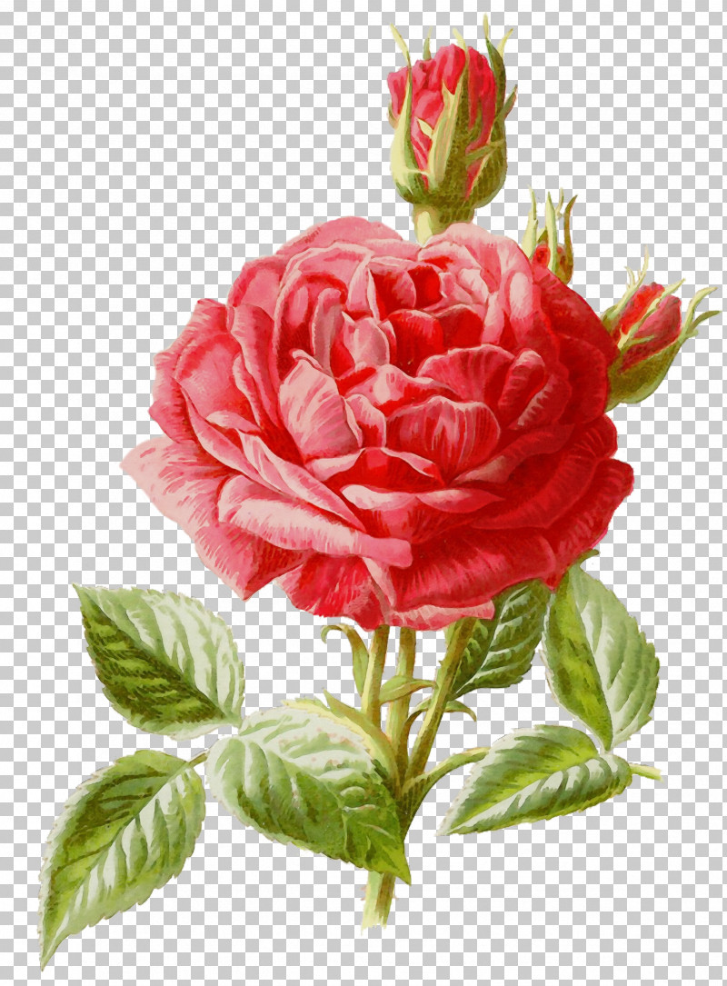 Floral Design PNG, Clipart, Artificial Flower, Camellia, Crossstitch, Cut Flowers, Embroidery Free PNG Download
