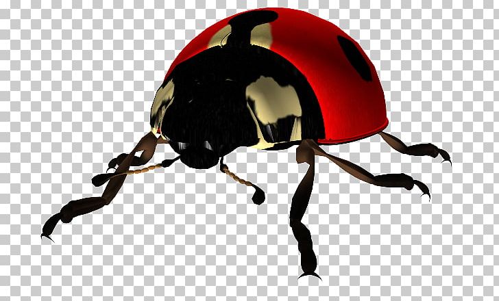 Ladybird Beetle Desktop PNG, Clipart, Animals, Arthropod, Beetle, Blog, Crossstitch Free PNG Download