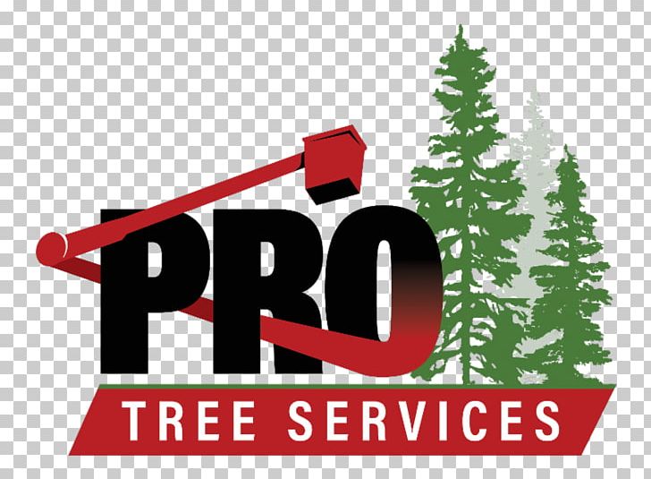 Pro Tree Services Burnaby Christmas Tree Coquitlam PNG, Clipart, Brand, Burnaby, Christmas, Christmas Decoration, Christmas Ornament Free PNG Download